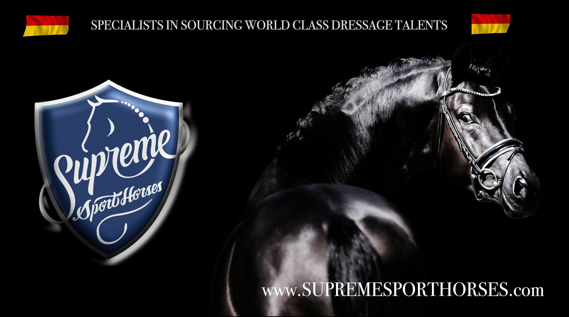 Supreme Sport Horses